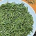 【绿茶雀舌】绿茶雀舌口粮茶口感甘甜清香爽口