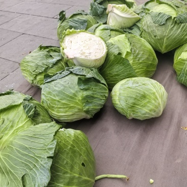 包包菜