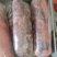 内蒙古牛前腿，价格实惠，品质保证，产品畅销，店长推荐