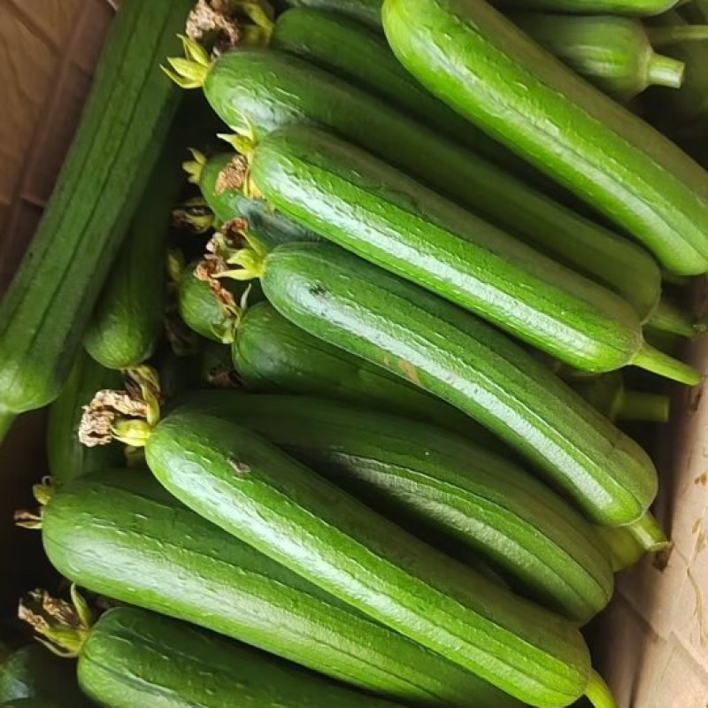 丝瓜