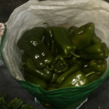 菜椒上市欢迎咨询