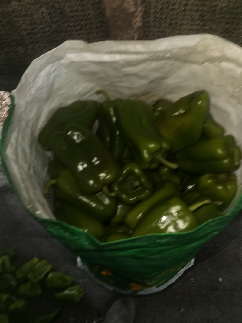 菜椒上市欢迎咨询
