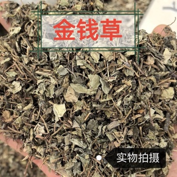 金钱草干草药金前草中药材合作共赢诚信经营