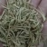 金银花