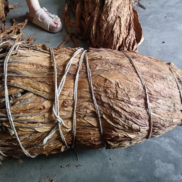 正宗河沙土火因