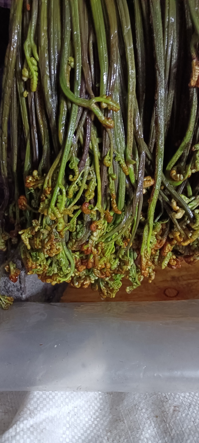 腌制蕨菜分别为绿菜紫菜都有