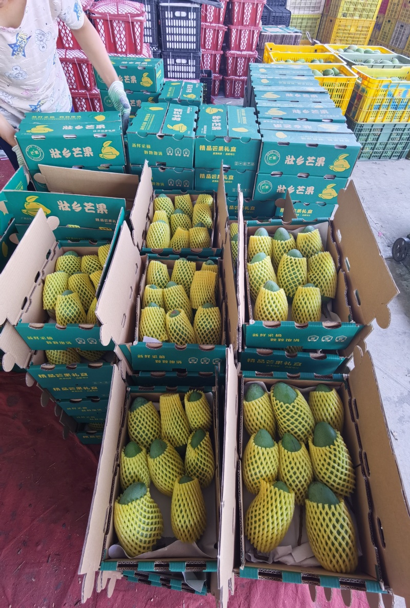 广西甜心金煌芒，社区团购落地配电商一件代发
