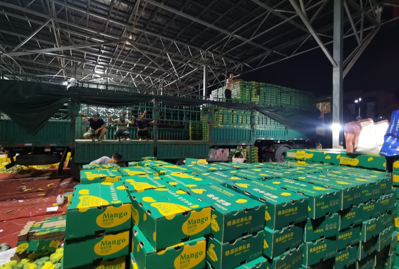 广西甜心金煌芒，社区团购落地配电商一件代发