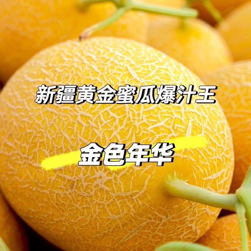 新疆吐鲁番直采金色年华哈密瓜糖心爆汁现摘现发品质保证