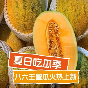 八六王哈密瓜
