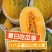 八六王哈密瓜