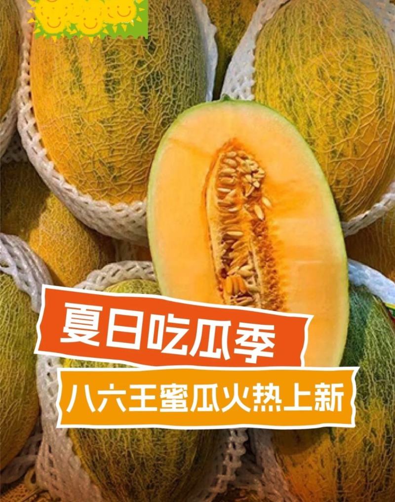 八六王哈密瓜