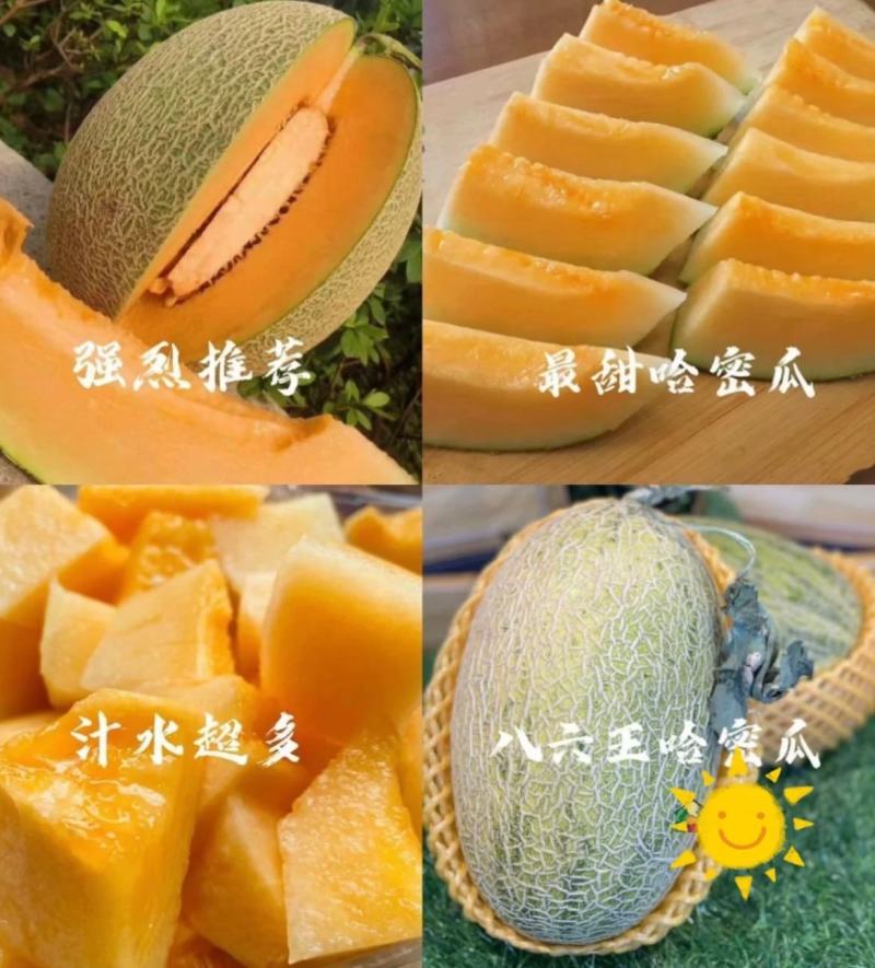 八六王哈密瓜