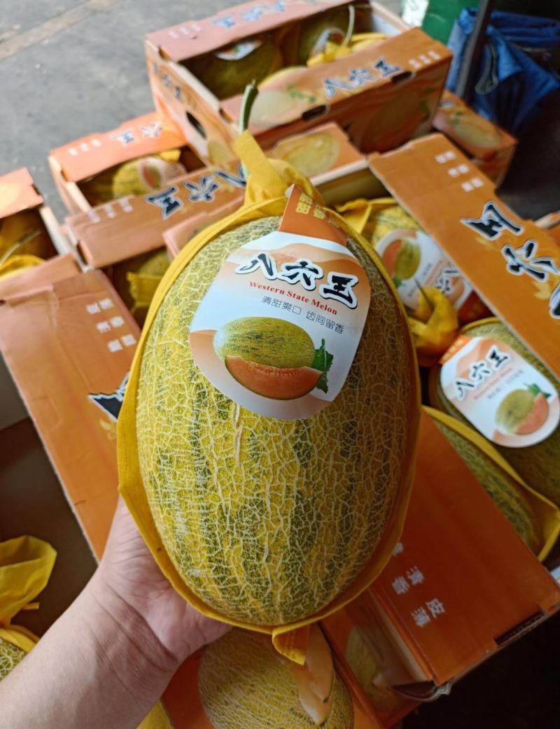 八六王哈密瓜