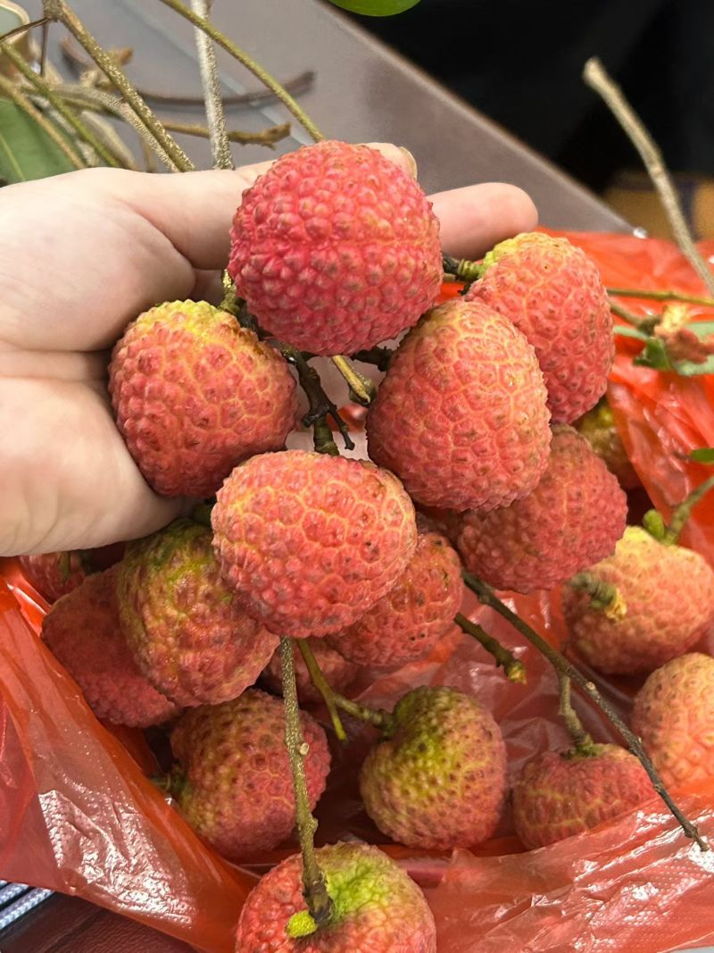 赤岗源头玲琅荔枝，甜、雅，