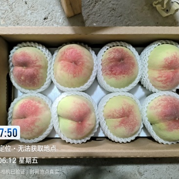 阳山水蜜桃