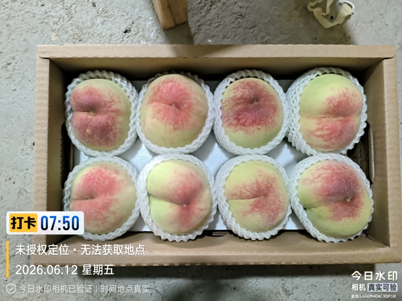 阳山水蜜桃