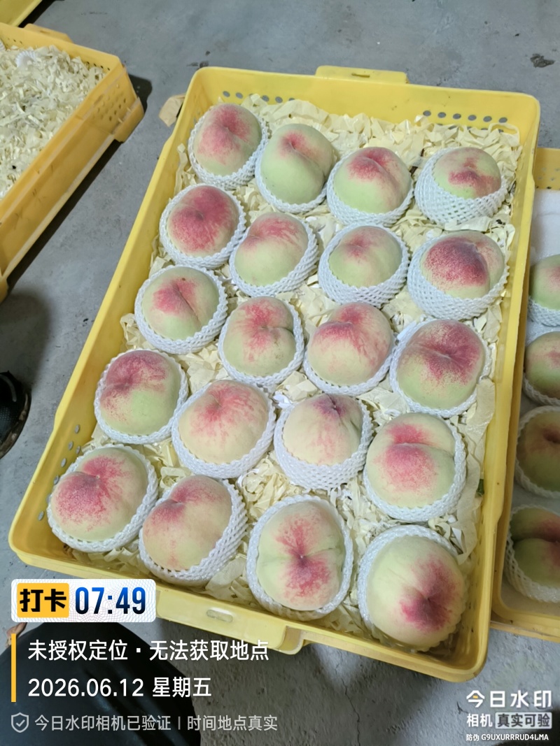 阳山水蜜桃