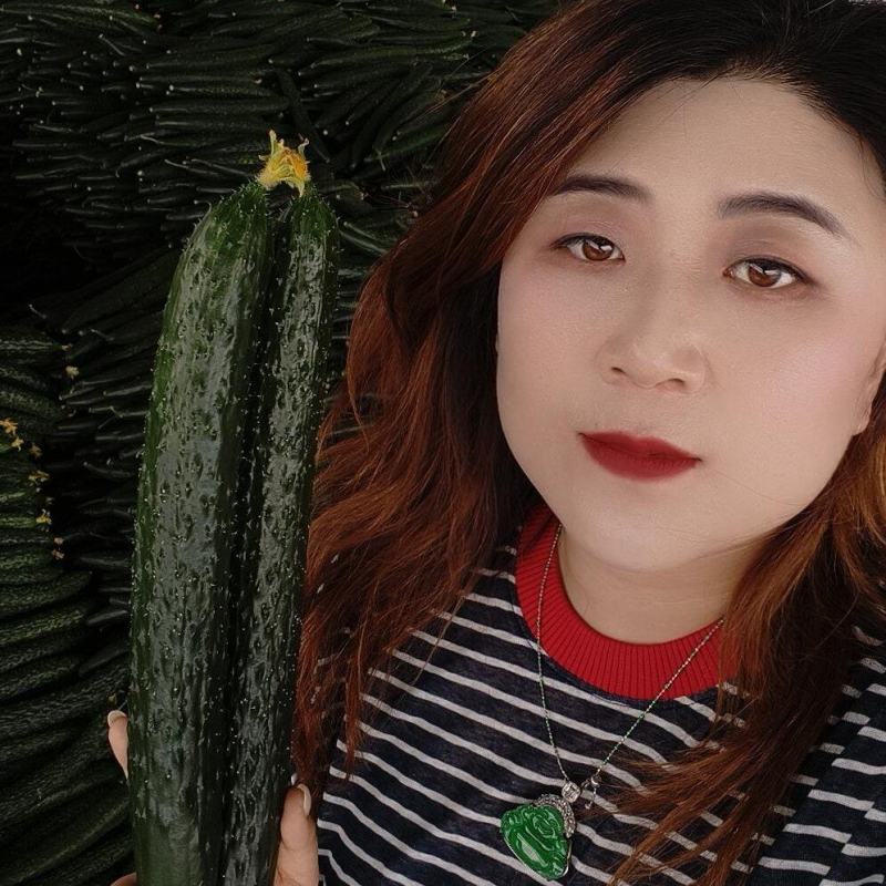 山东黄瓜，电商货，市场货一手货源