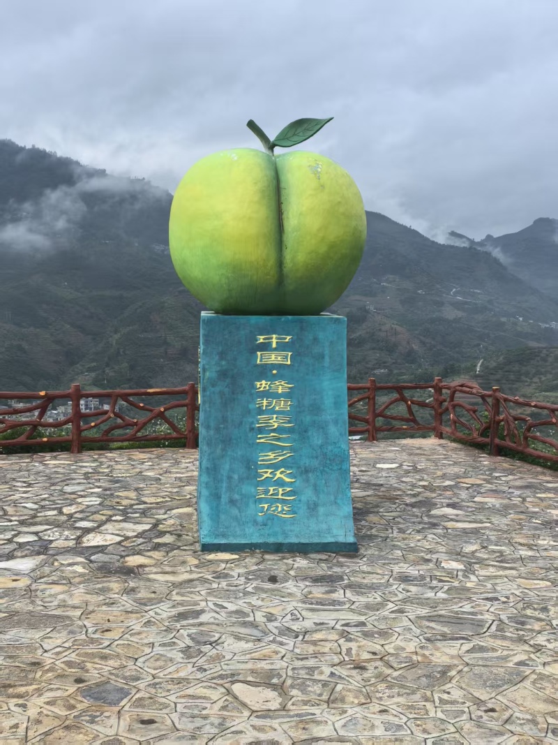 正宗六马蜂糖李