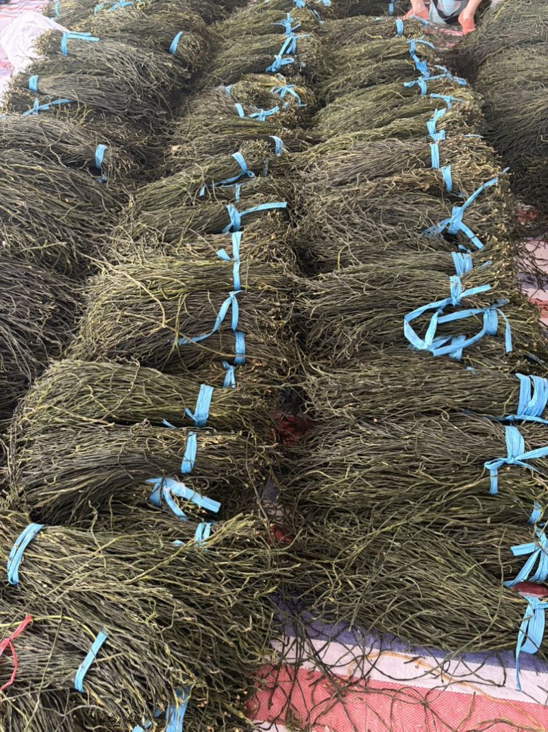 干豆角新货供货大量有货对接火锅店餐饮店商超全国可发货