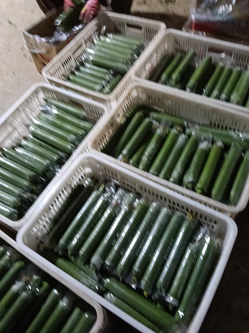 套带油皮丝瓜