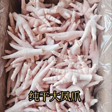 鸡凤爪单个重量35克以上，大小个头很均匀山东腾惠将成