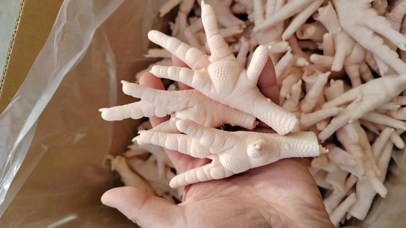 鸡凤爪单个重量35克以上，大小个头很均匀山东腾惠将成