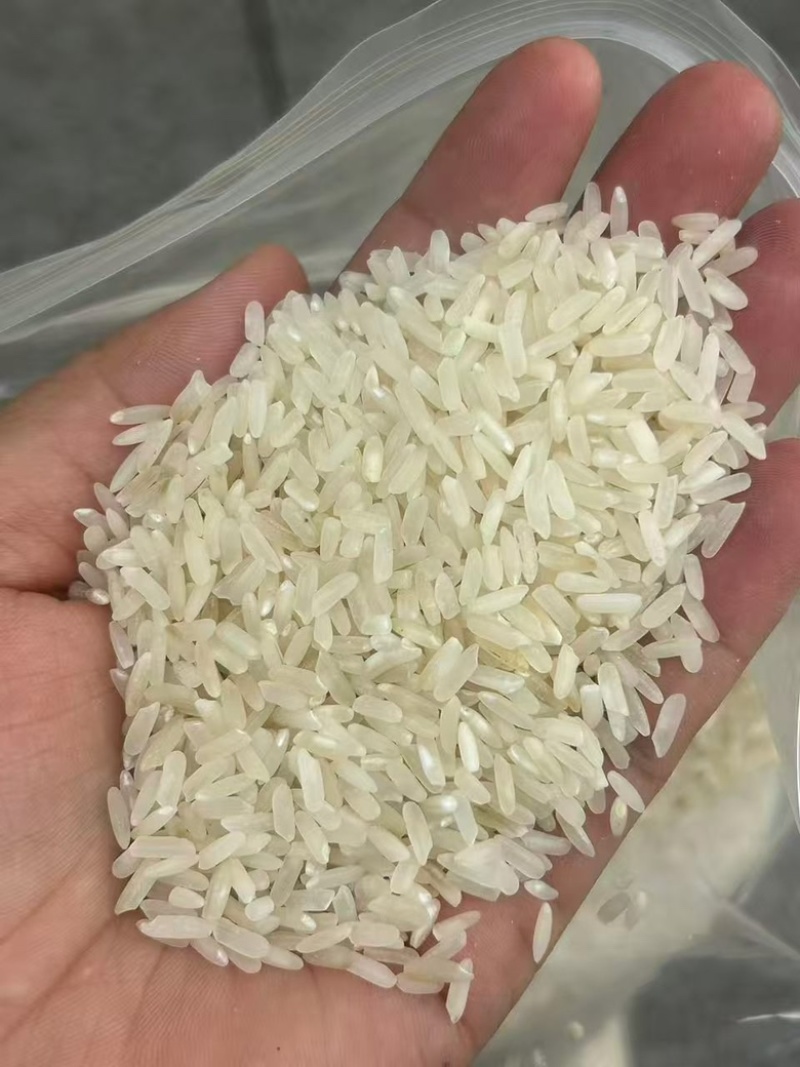 24年老丰良优