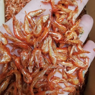 无盐烘干河虾干净卫生货源稳定长期有货，充足
