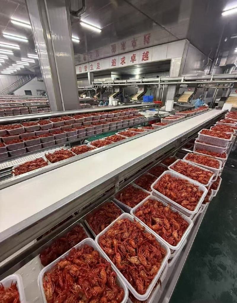 油炸鲜活小龙虾免清洗免油炸无损耗工厂直发直达包邮