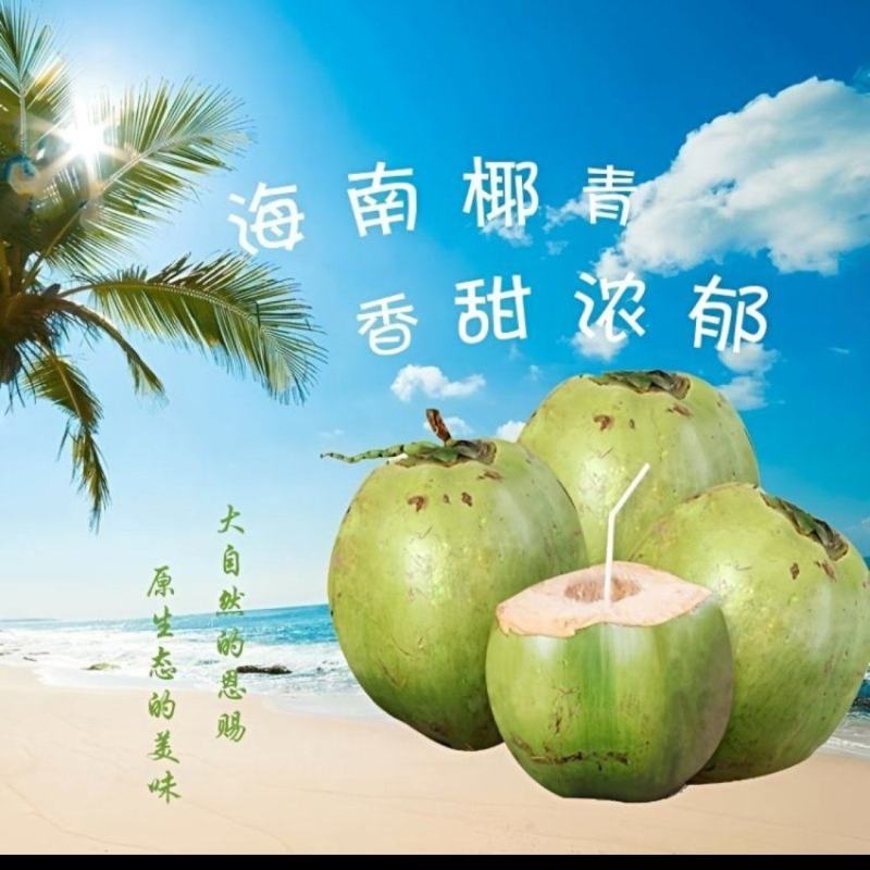 海南万宁青椰子产地货源4-8斤超大果整车代发社区