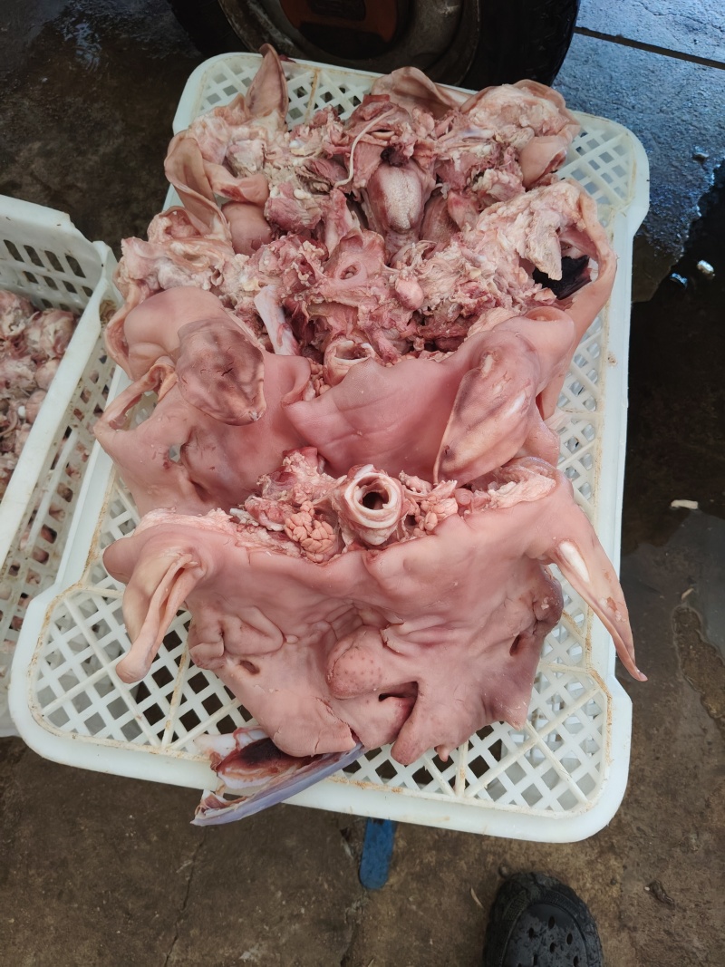 熟羊脸