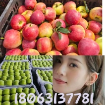 今年苹果太便宜了华硕苹果、鲁丽苹果，商超市场电商直采