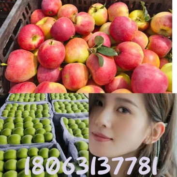今年苹果太便宜了华硕苹果、鲁丽苹果,商超市场电商直采