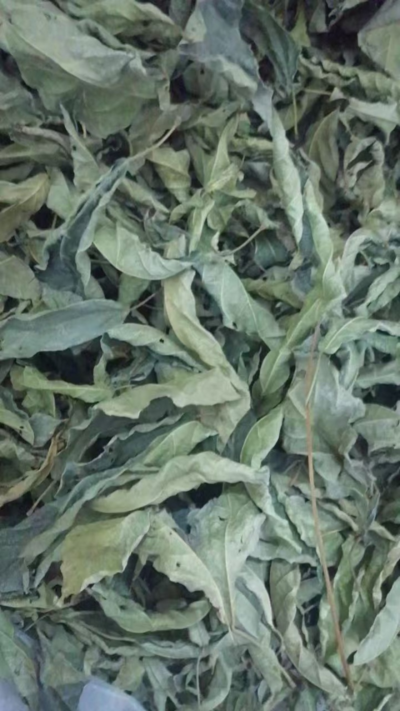 海南原产地鹧鸪茶有散装批发混批拿货一件代发量大价格可谈