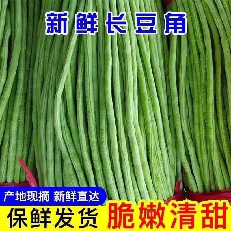 陕西西安长豆角露天豇豆，豆角品质好价格低量大