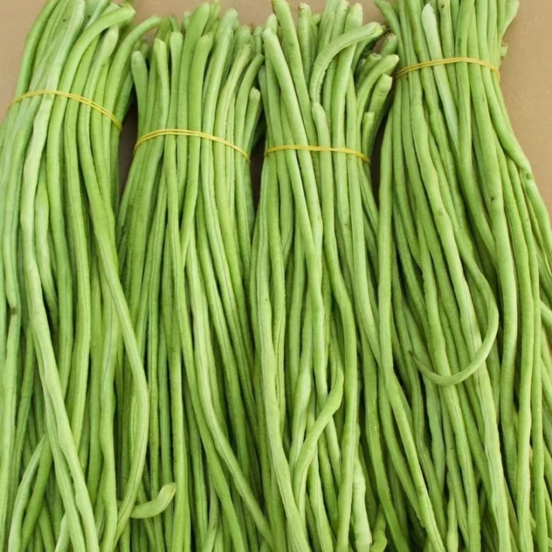 陕西西安长豆角露天豇豆，豆角品质好价格低量大