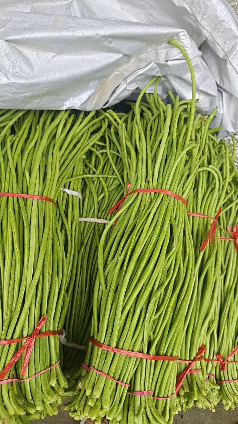 陕西西安长豆角露天豇豆，豆角品质好价格低量大