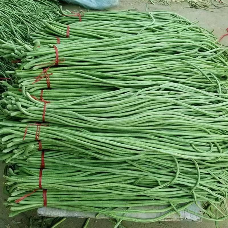 陕西西安长豆角露天豇豆，豆角品质好价格低量大