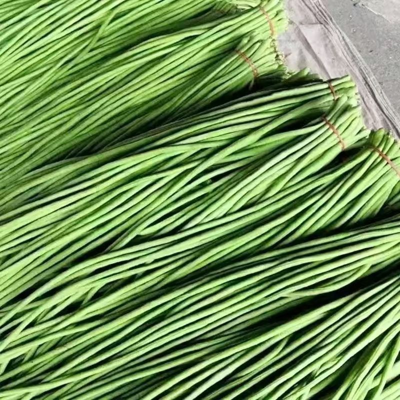 陕西西安长豆角露天豇豆，豆角品质好价格低量大