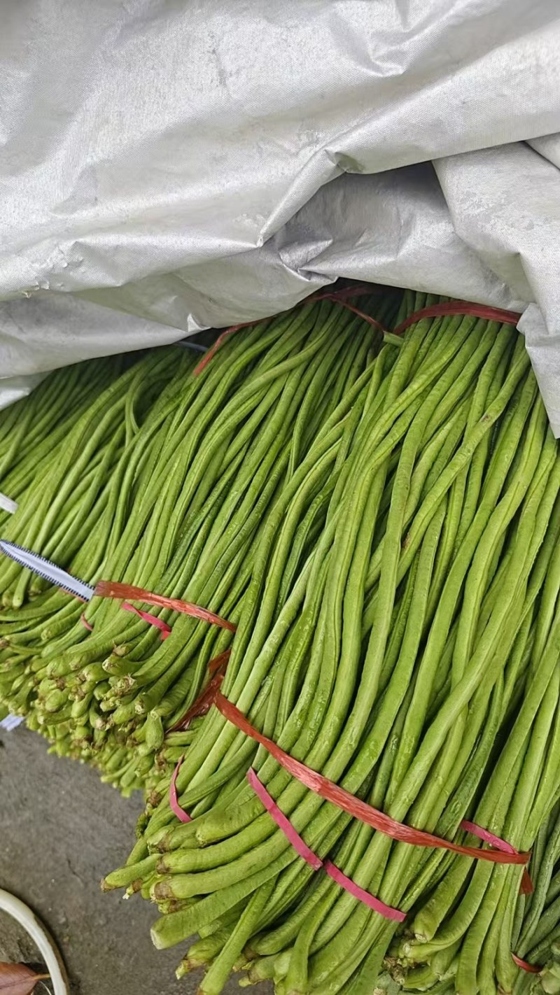 陕西西安长豆角露天豇豆，豆角品质好价格低量大
