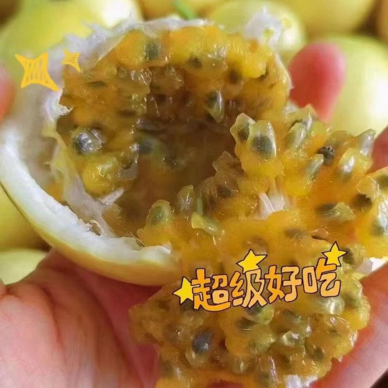 钦蜜9号黄金百香果日发2万斤➕能力欢迎批发市场商超老板