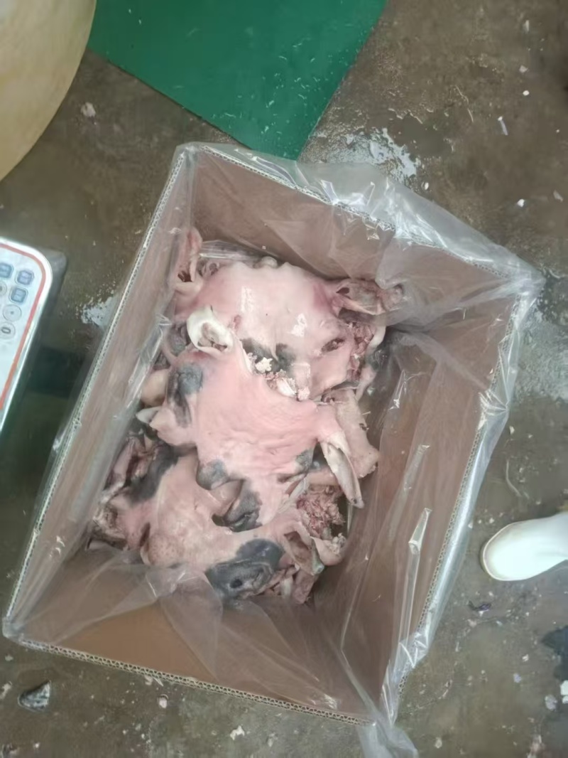 熟花羊脸,全国发货