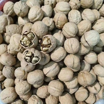 核桃大量现货，规格齐全，接一件代发。