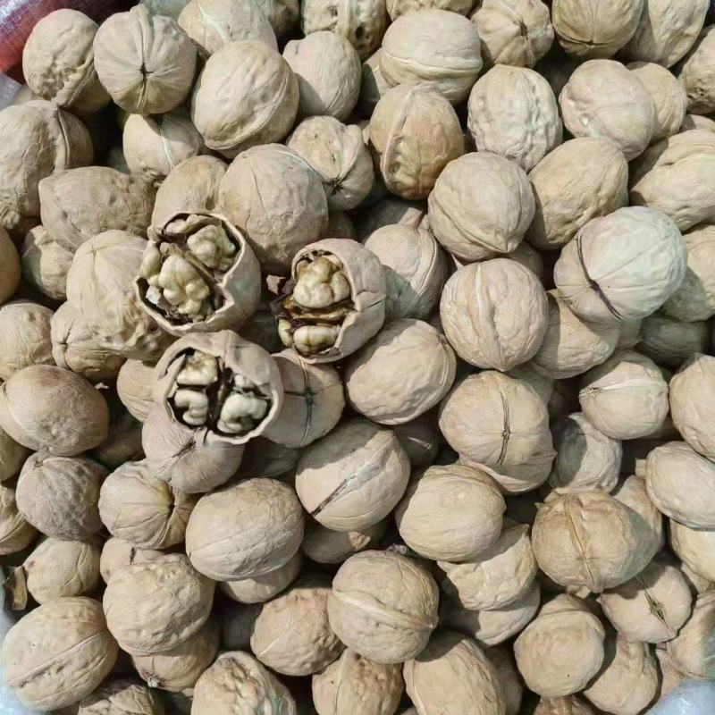 核桃大量现货，接全平台一件代发