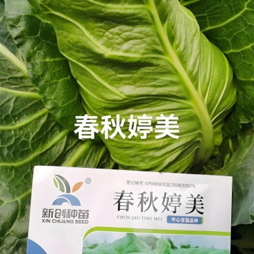 牛心甘蓝，电话，Ⅴ信同步，***********
