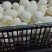 鹅蛋食用
