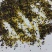 国外进口油菜籽