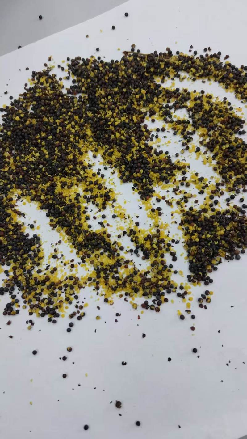 国外进口油菜籽